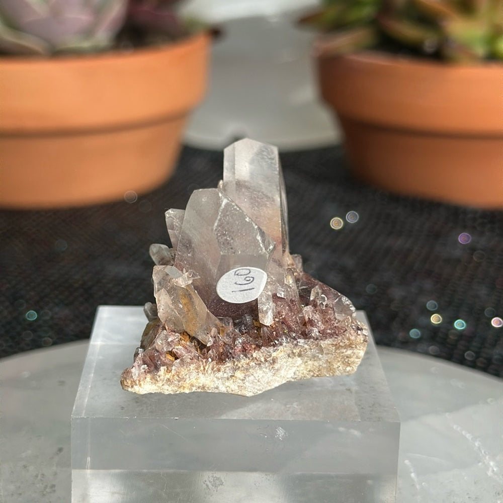 Sunset Phantom Quartz From India SPQ10