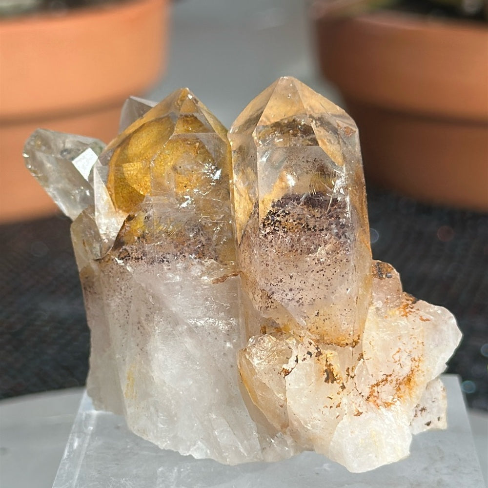 Sunset Phantom Quartz From India SPQ15