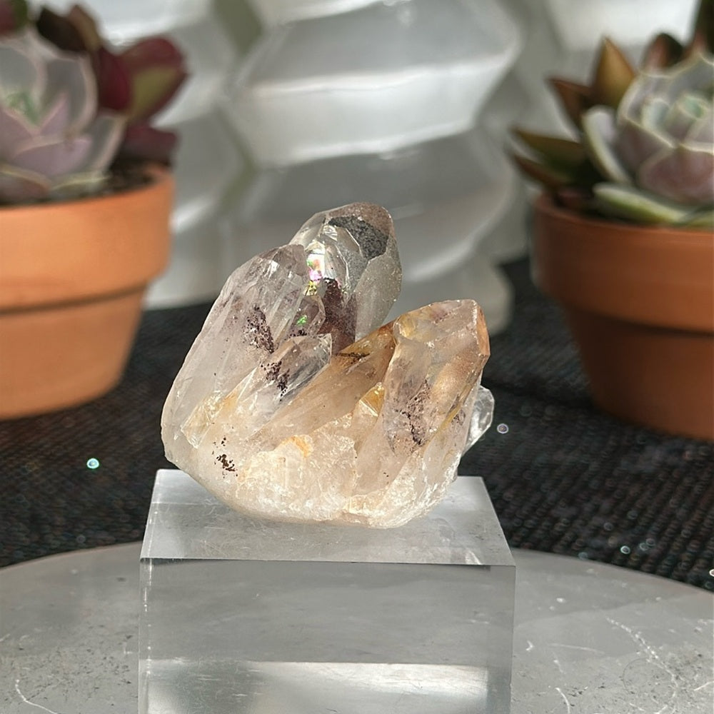 Sunset Phantom Quartz From India SPQ145
