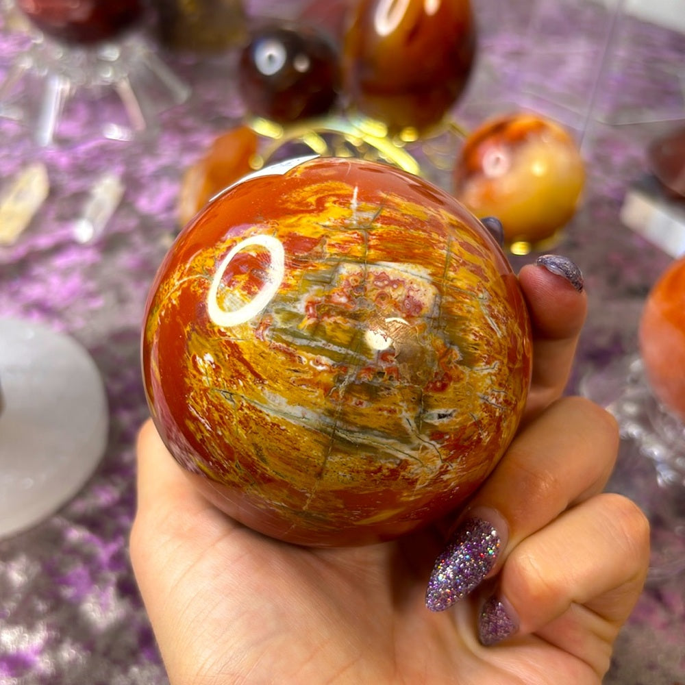 Petrified wood Sphere - PW02