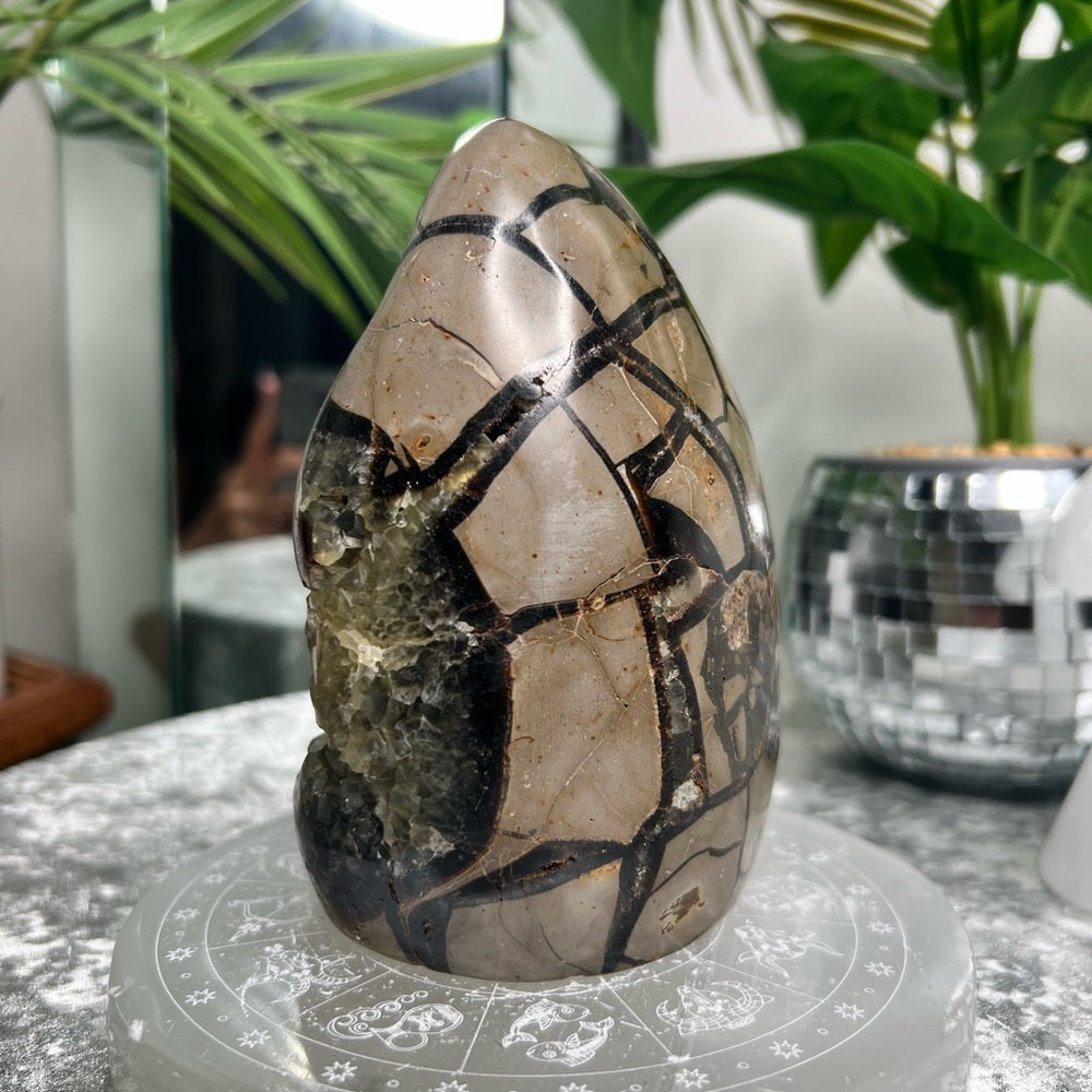 Septarian W Calcite Freeform- SF08