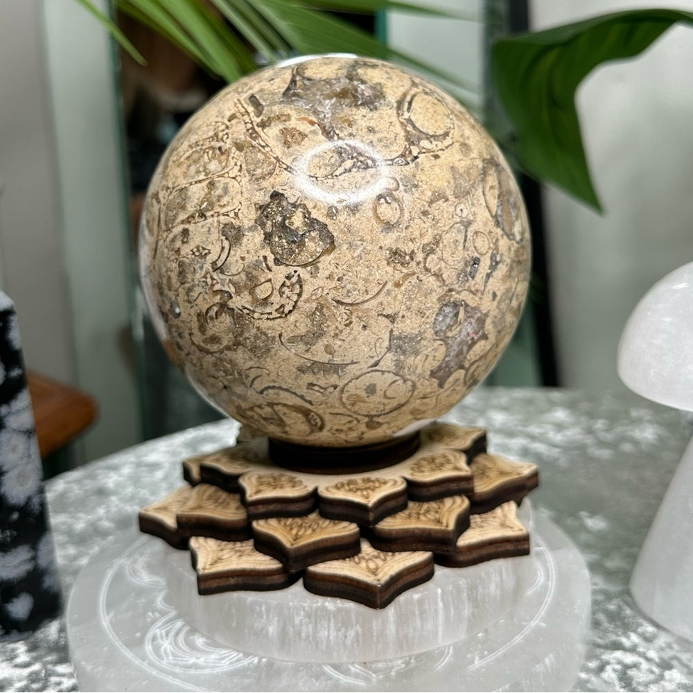 Fossil Sphere from Morocco - FSM1