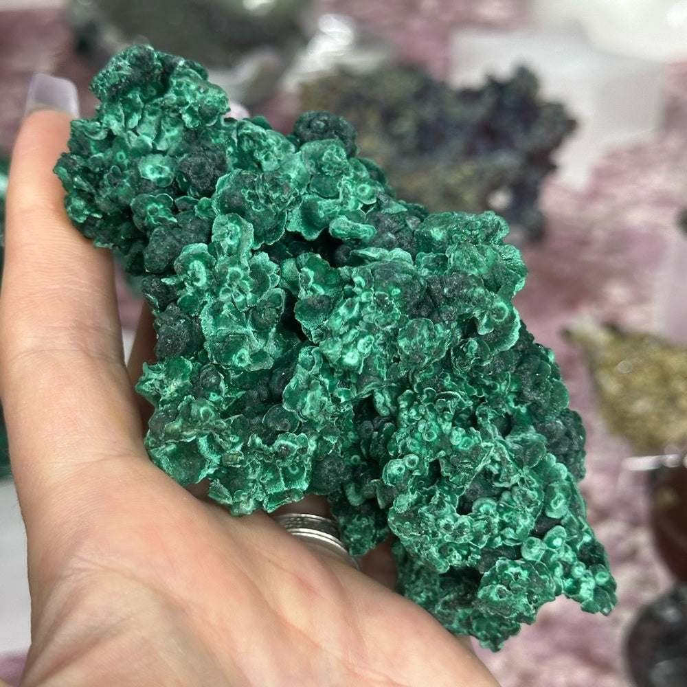 Velvet malachite VM01