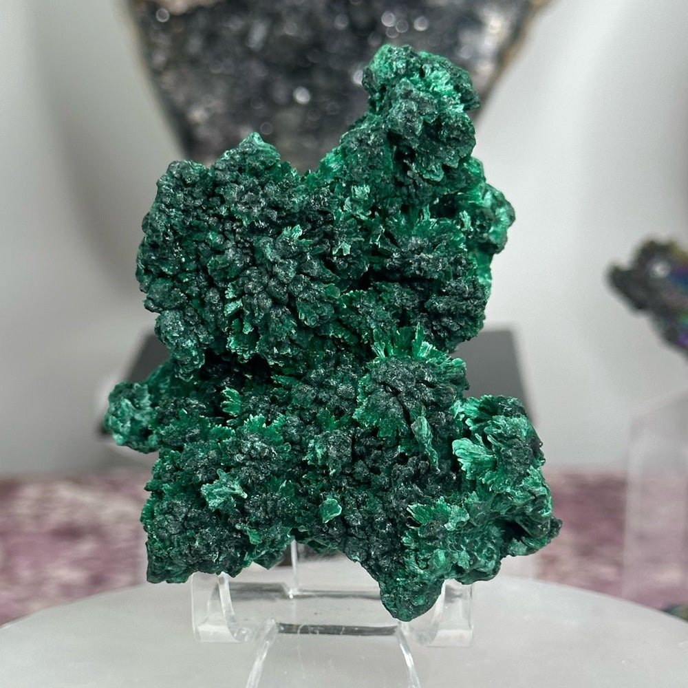Velvet malachite VM03