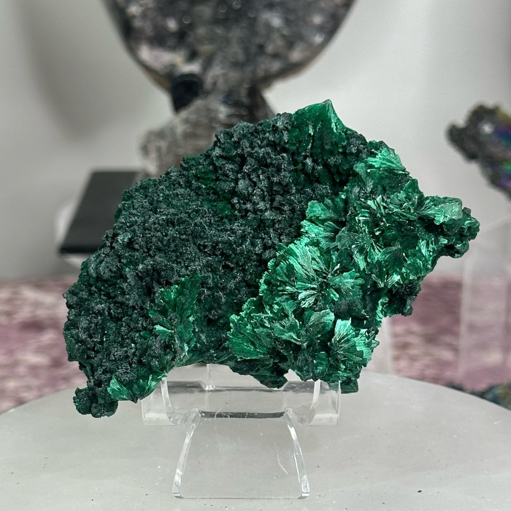 Velvet malachite VM04