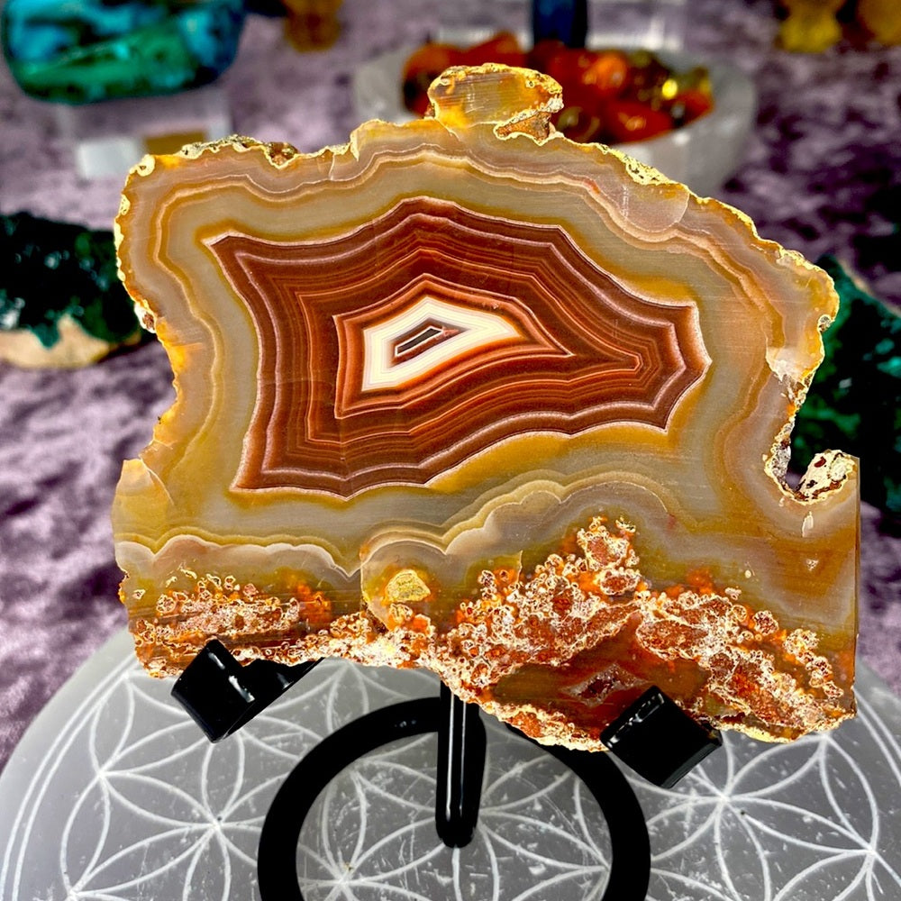 Unpolished Laguna agate slab