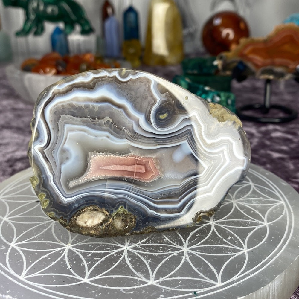 Australian polished agate