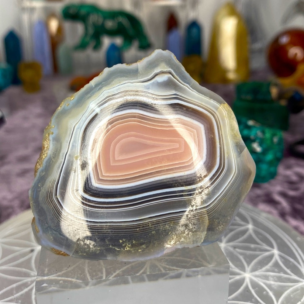 Australian polished agate