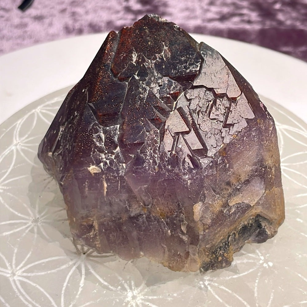 Auralite 23 - AU01