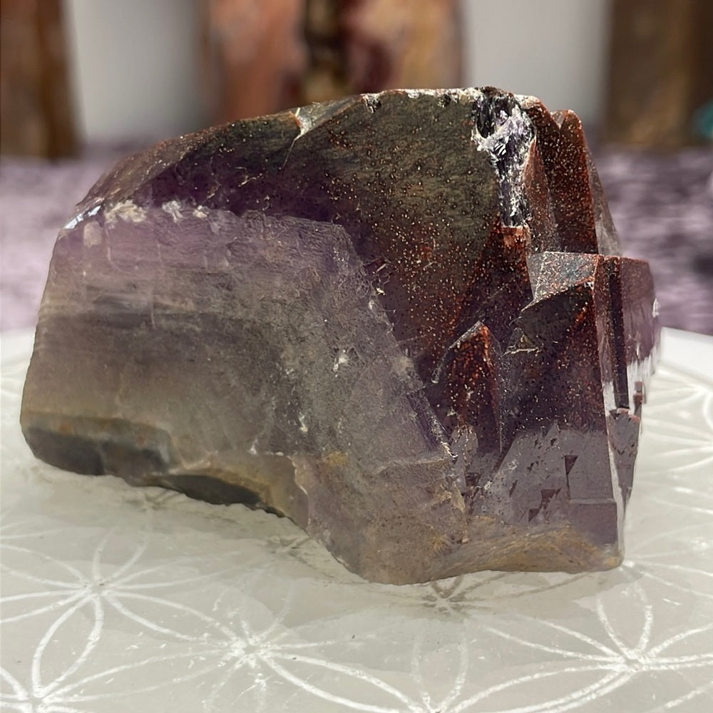 Auralite 23 - AU01