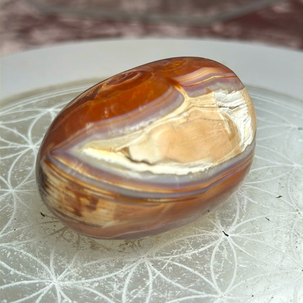 Carnelian Palmstone - CP11