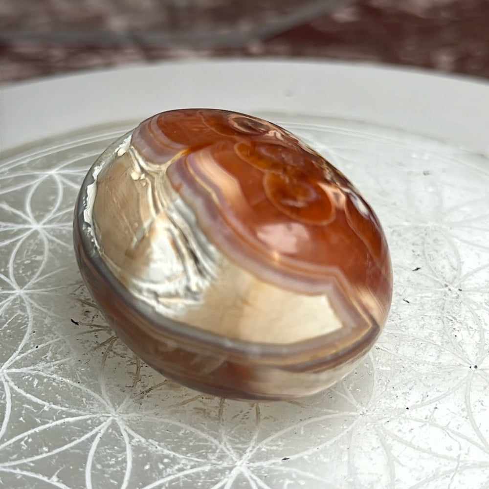 Carnelian Palmstone - CP11