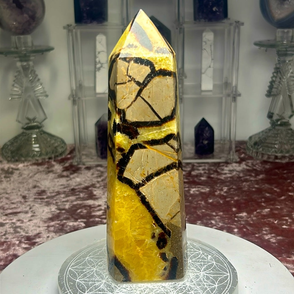 Septarian Tower - SPTP02