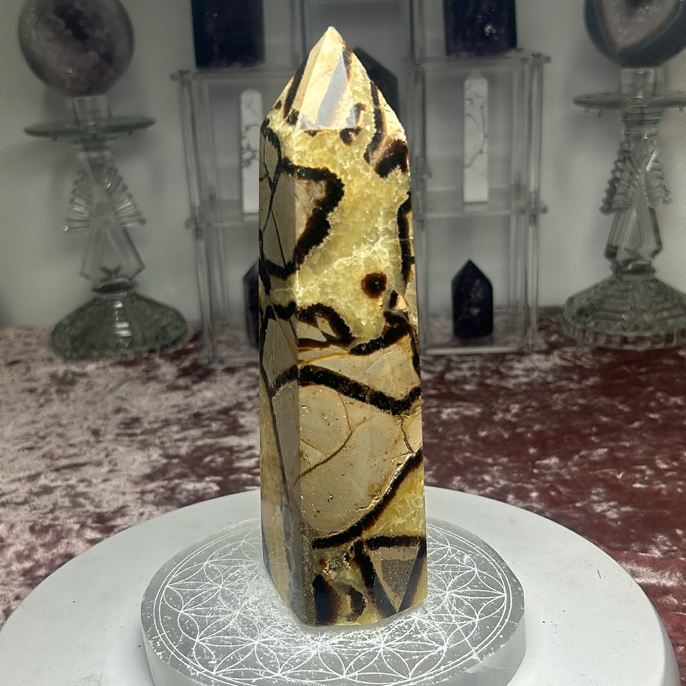 Septarian Tower - SPTP02