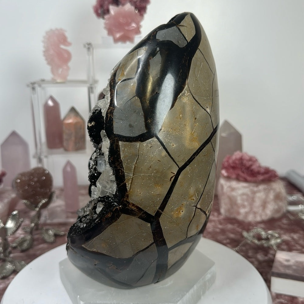 Septarian Egg w/ Calcite SEC07