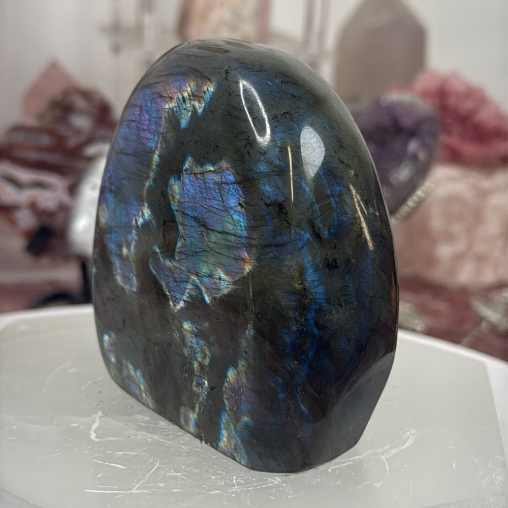 Vivid Purple/ Blue Labradorite - PBL01