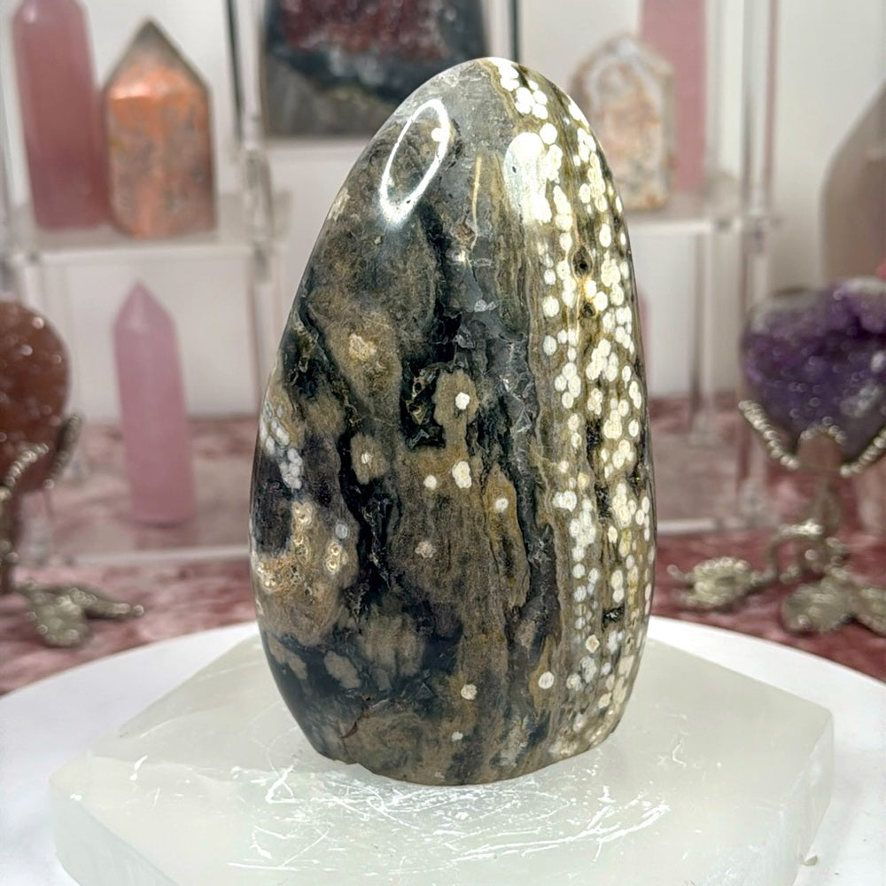 Ocean Jasper Freeform - OJF55