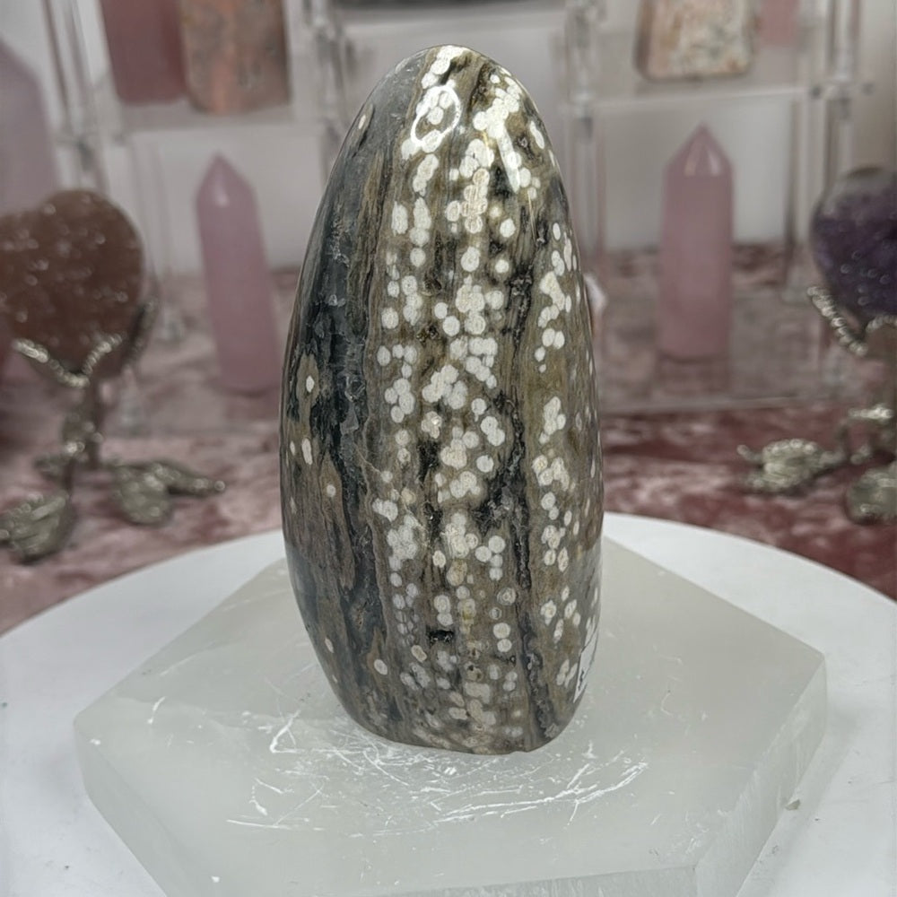 Ocean Jasper Freeform - OJF55