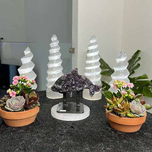 Amethyst Dolphin AD01