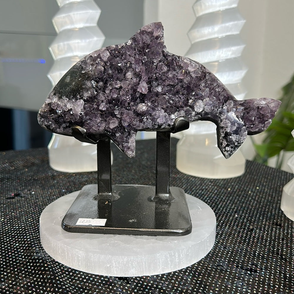 Amethyst Dolphin AD01