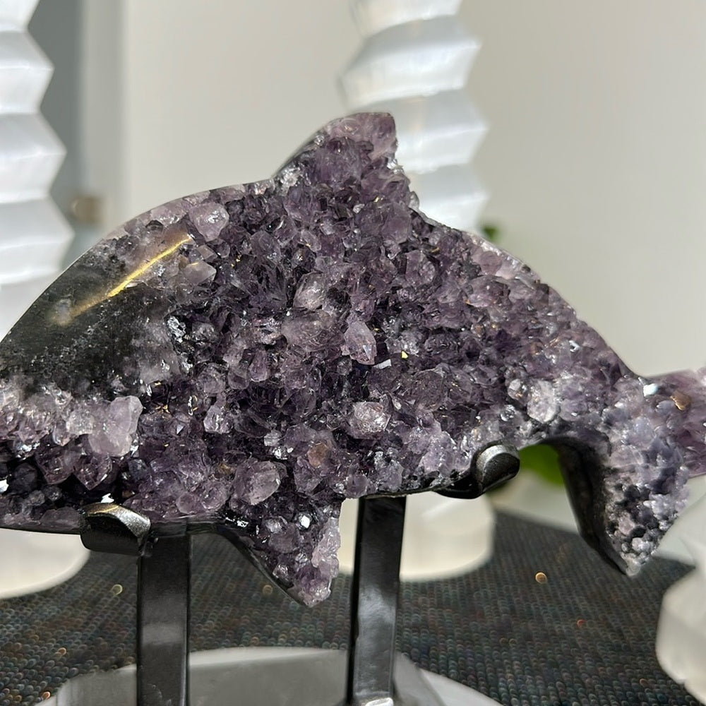 Amethyst Dolphin AD01