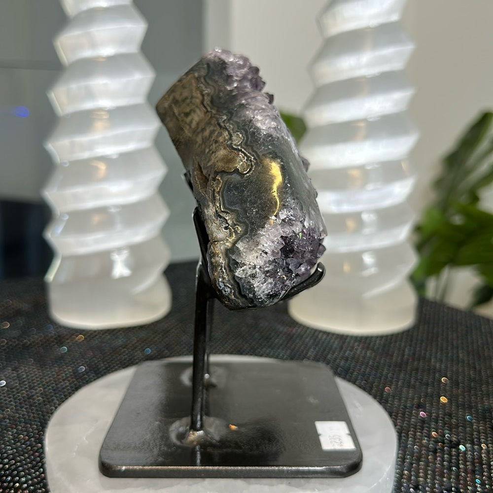 Amethyst Dolphin AD01