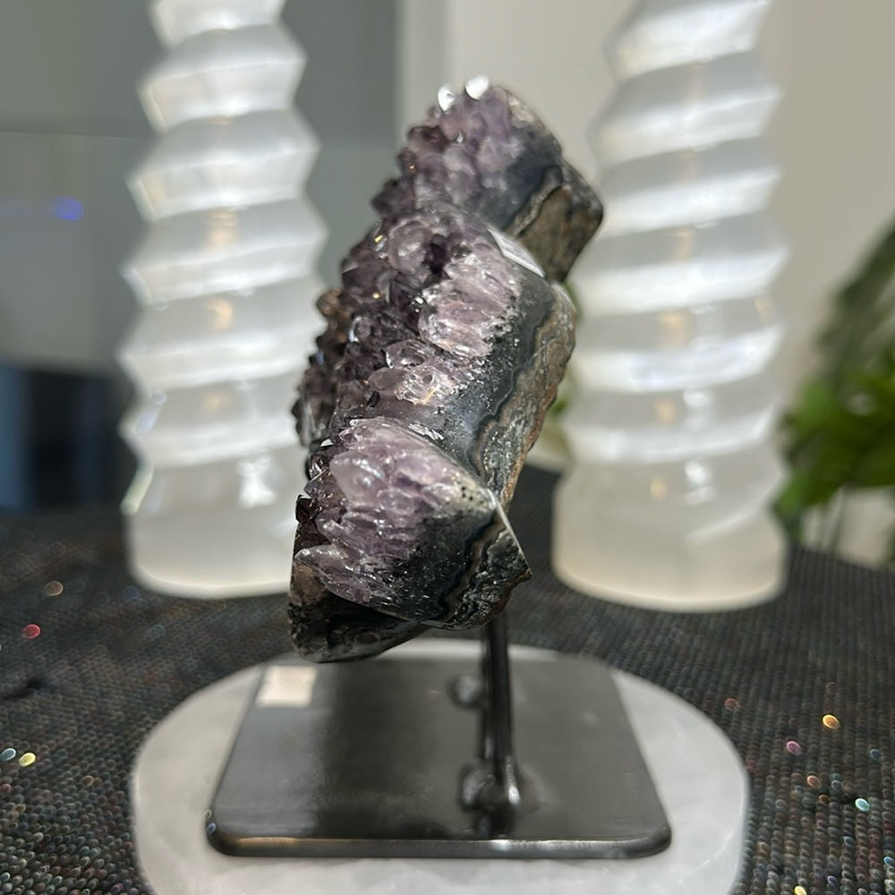 Amethyst Dolphin AD01