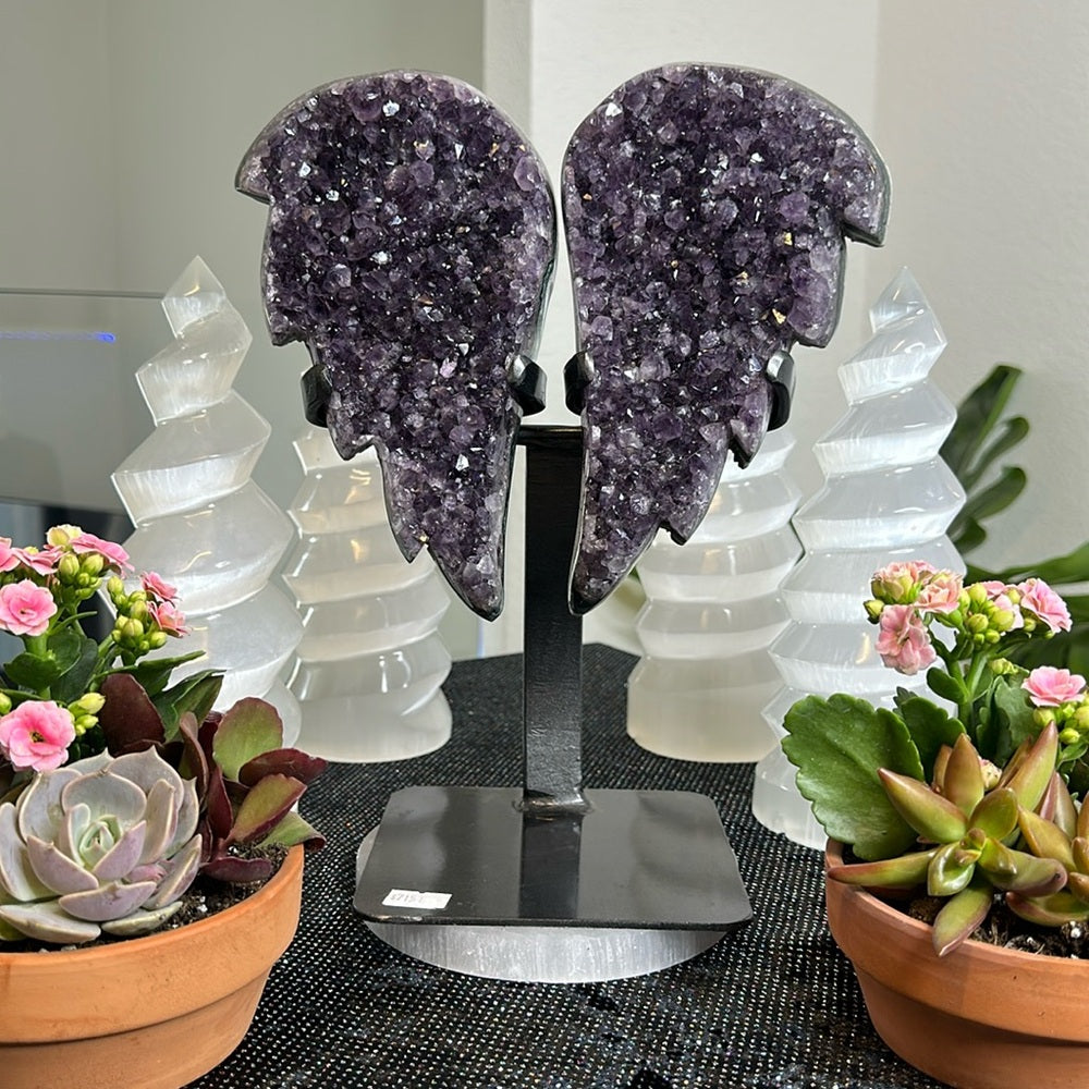 Angel Wings Amethyst with Green Banding AWA73