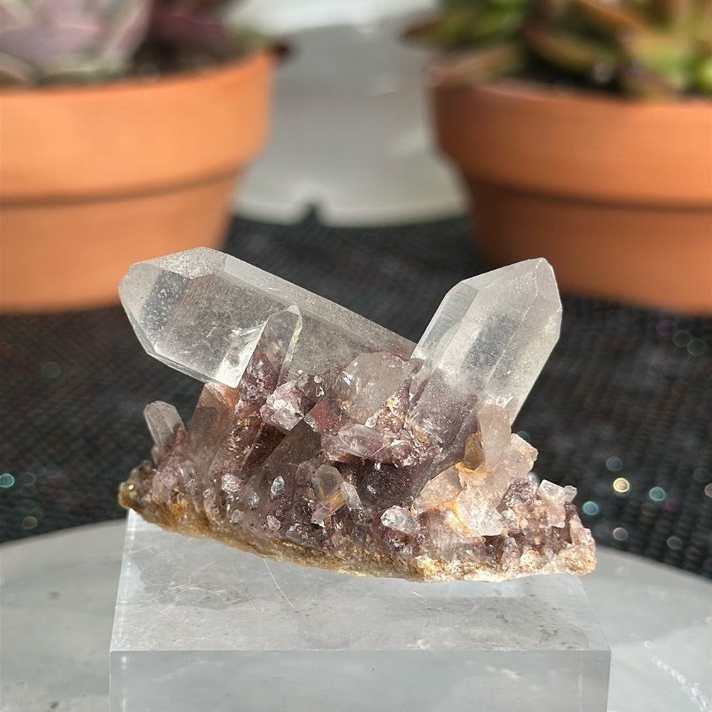 Sunset Phantom Quartz From India SPQ10