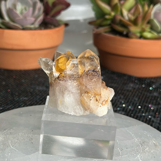 Sunset Phantom Quartz From India SPQ15