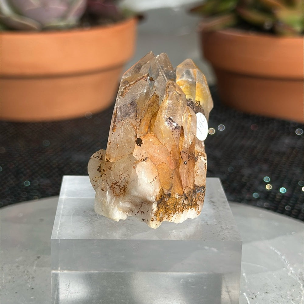 Sunset Phantom Quartz From India SPQ15