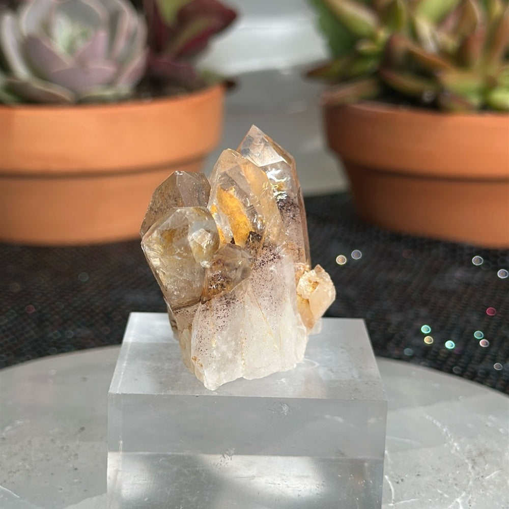 Sunset Phantom Quartz From India SPQ15