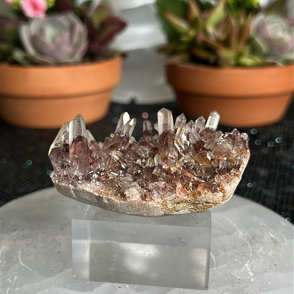 Sunset Phantom Quartz From India SPQ27
