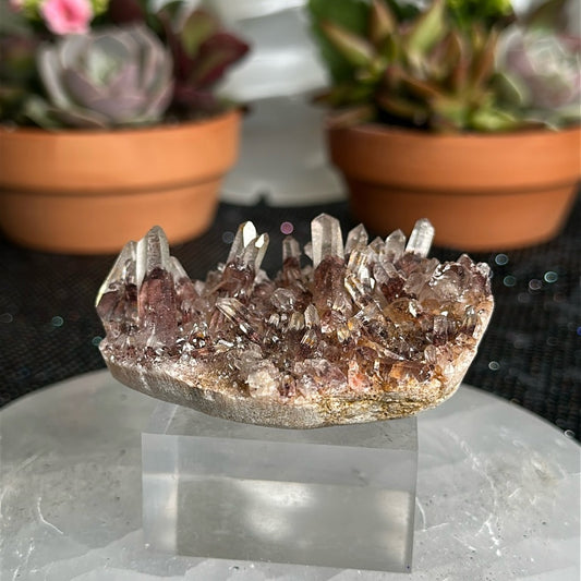 Sunset Phantom Quartz From India SPQ27