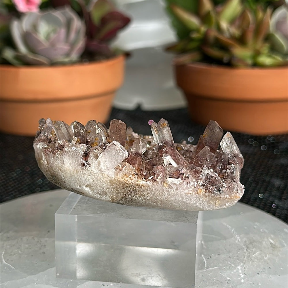Sunset Phantom Quartz From India SPQ27