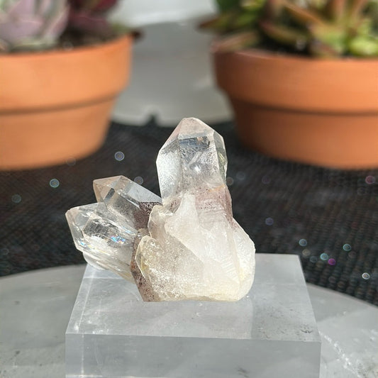 Sunset Phantom Quartz From India SPQ06