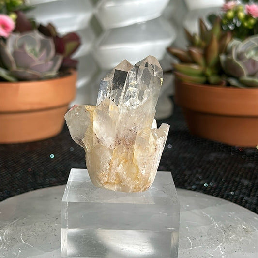 Sunset Phantom Quartz From India SPQ19