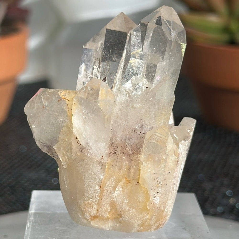 Sunset Phantom Quartz From India SPQ19