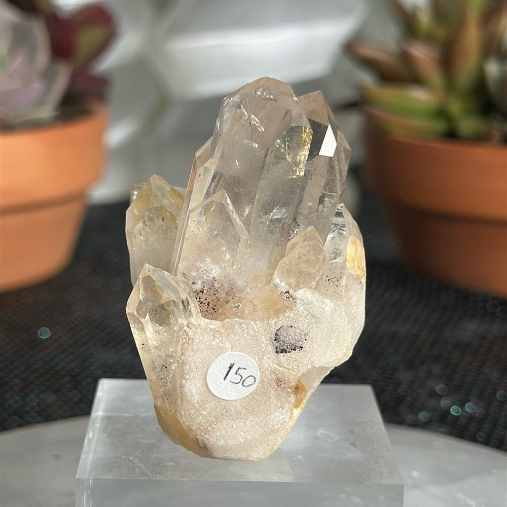 Sunset Phantom Quartz From India SPQ19