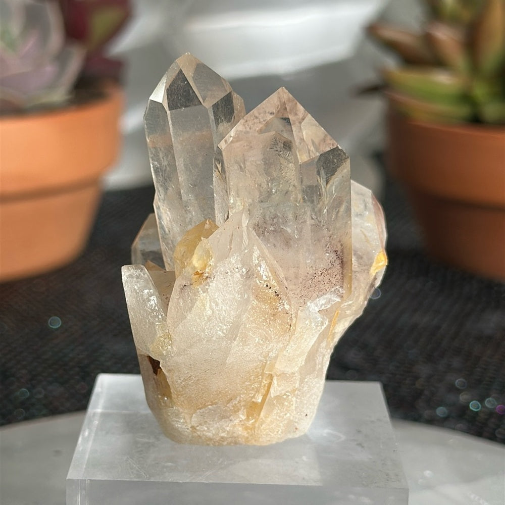 Sunset Phantom Quartz From India SPQ19