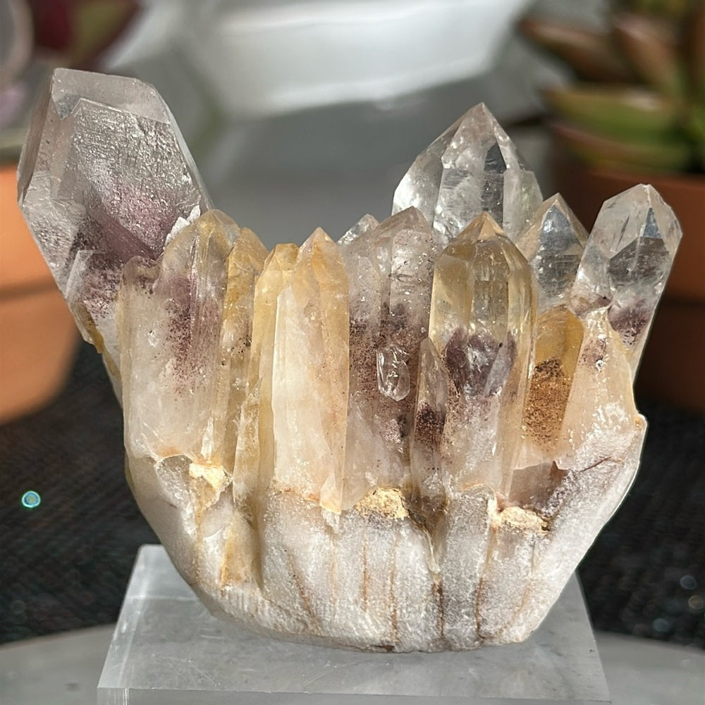 Sunset Phantom Quartz From India SPQ27