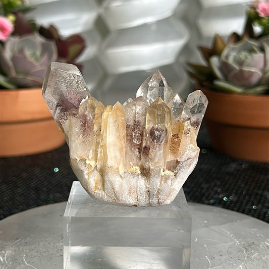 Sunset Phantom Quartz From India SPQ27