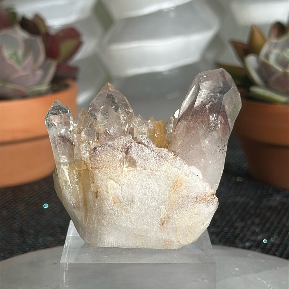Sunset Phantom Quartz From India SPQ27
