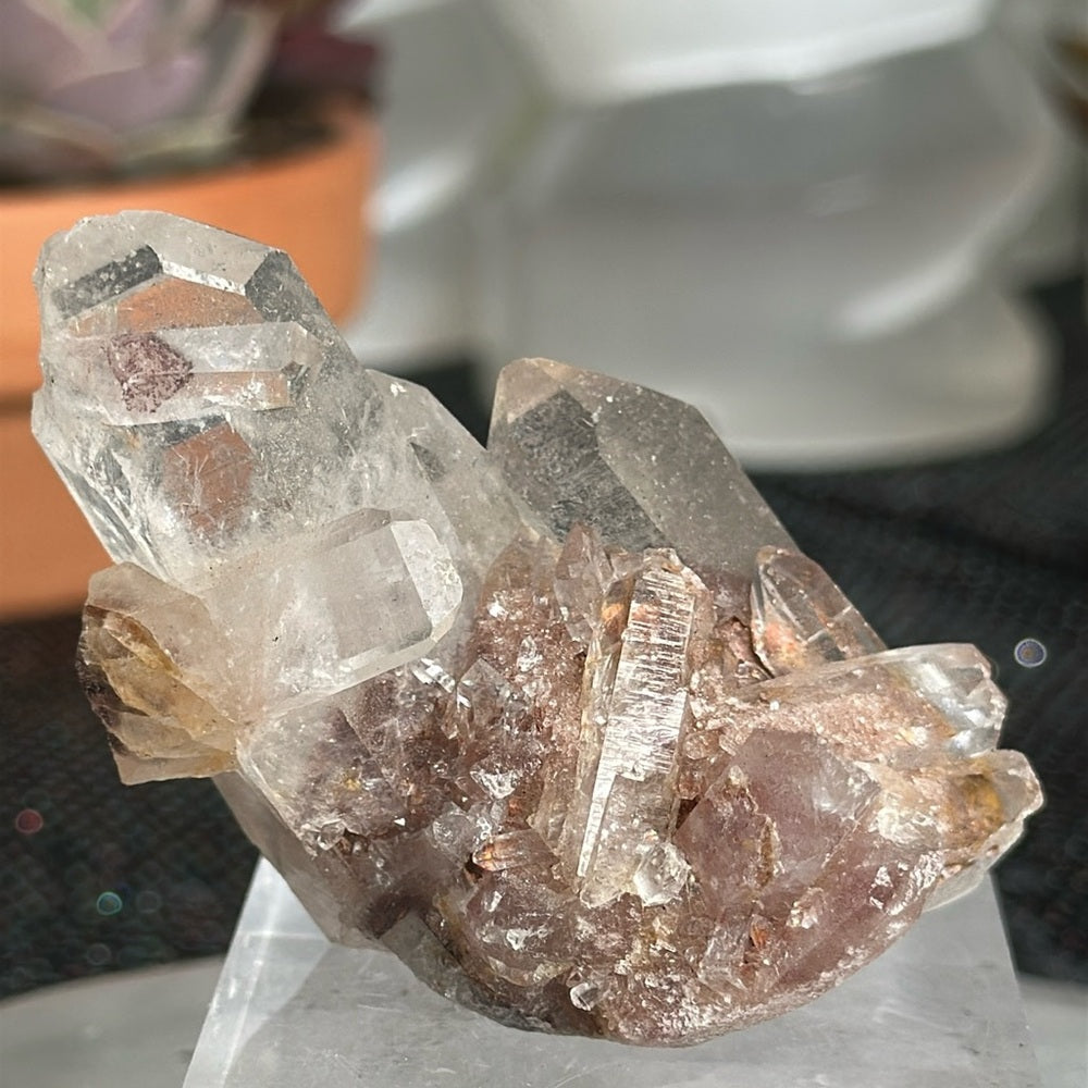 Sunset Phantom Quartz From India SPQ175