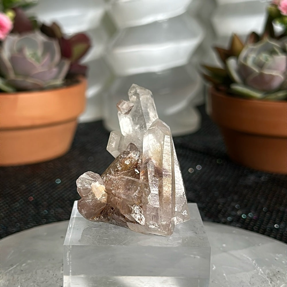Sunset Phantom Quartz From India SPQ175