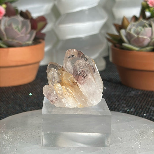 Sunset Phantom Quartz From India SPQ145