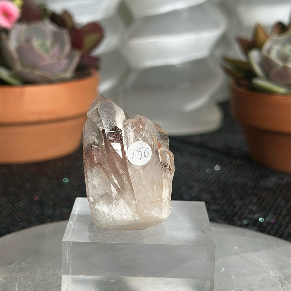 Sunset Phantom Quartz From India SPQ145