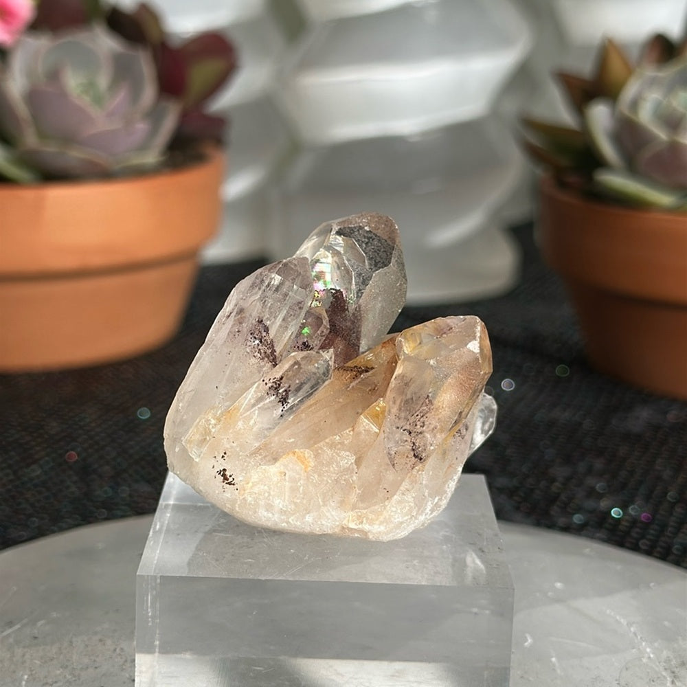 Sunset Phantom Quartz From India SPQ145