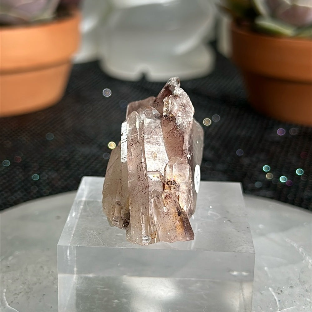 Sunset Phantom Quartz From India SPQ120