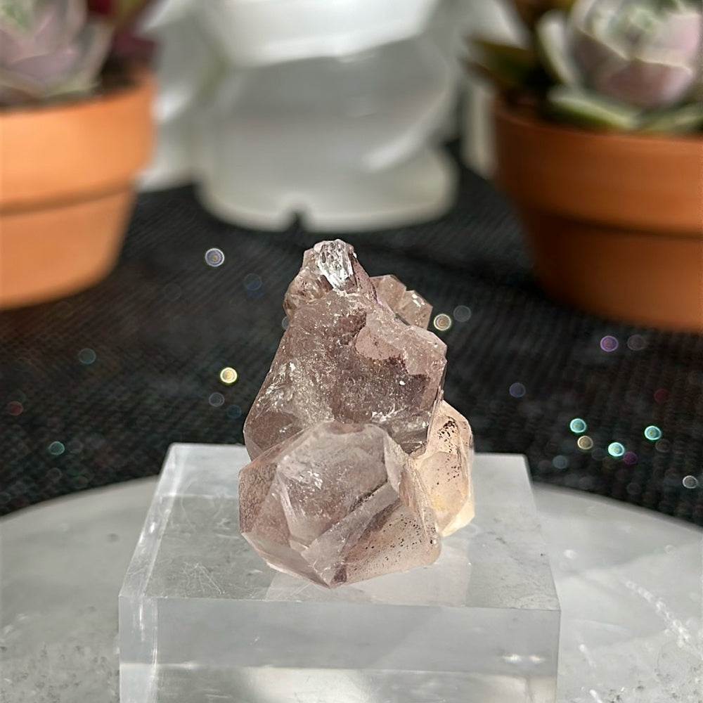 Sunset Phantom Quartz From India SPQ120